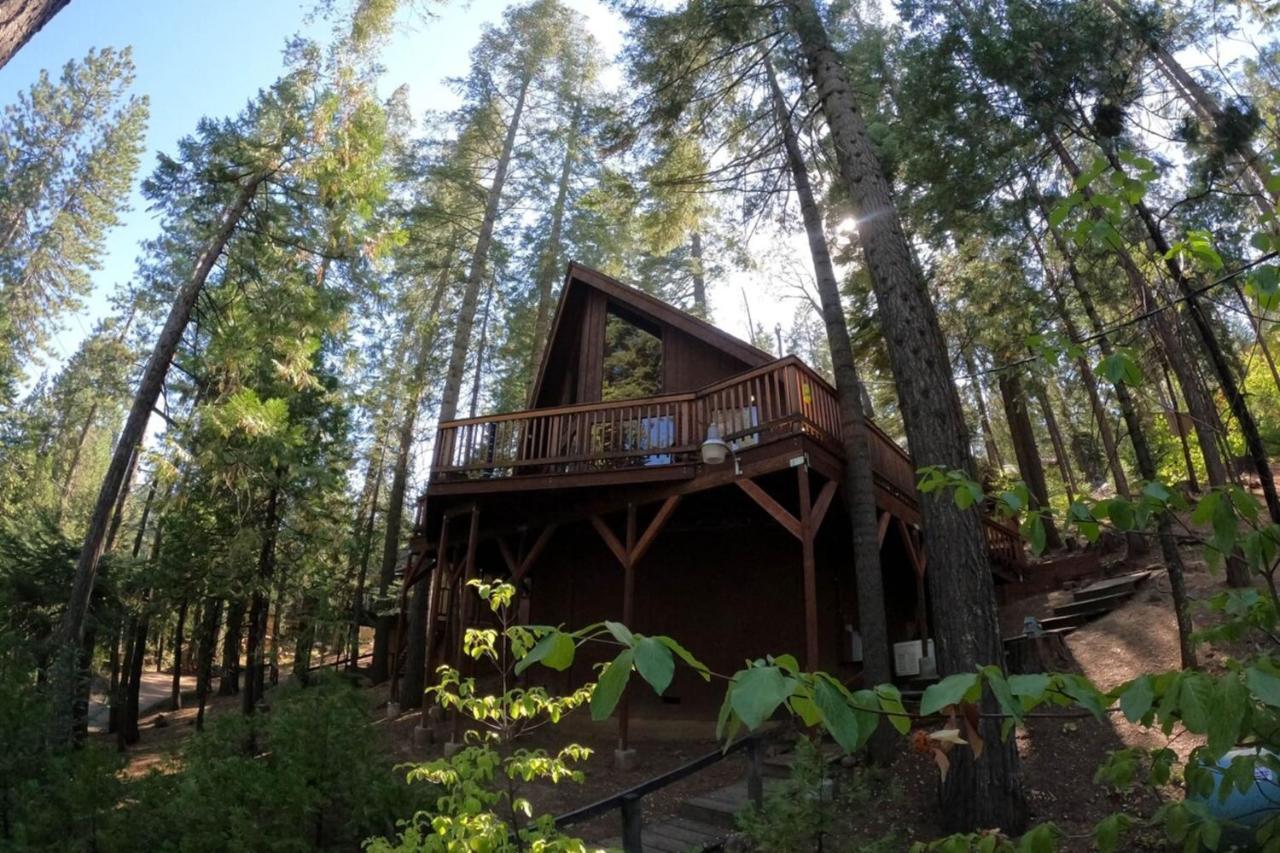 Beautiful Cabingated Parkpinecrest & Dodge Ridge Villa Long Barn Exteriör bild